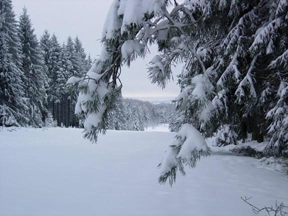 Gite Le Cerf Pantin سانت هوبيرت المظهر الخارجي الصورة